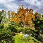 Missouri Botanic Garden