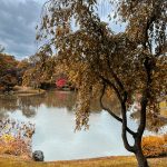 Missouri Botanic Garden