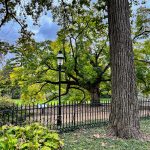 Missouri Botanic Garden